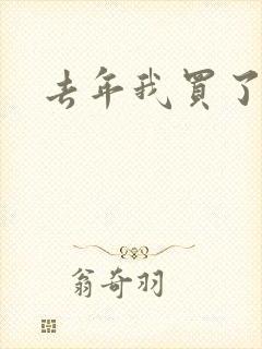 去年我买了个表