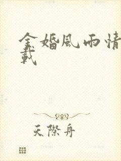 金婚风雨情 下载