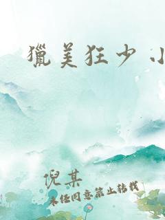 猎美狂少 小说