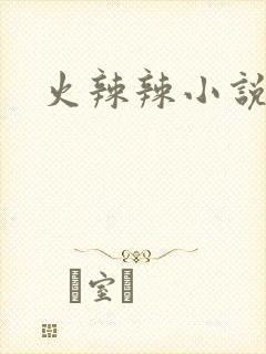 火辣辣小说全集