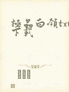 极品白领txt下载