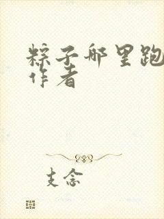 粽子哪里跑小说作者