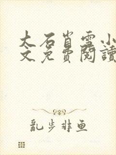 大石肖雪小说全文免费阅读