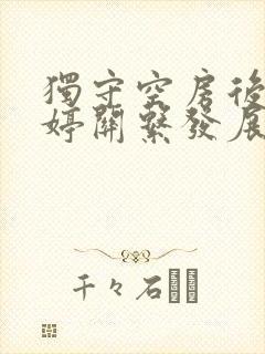 独守空房后与姜婷关系发展