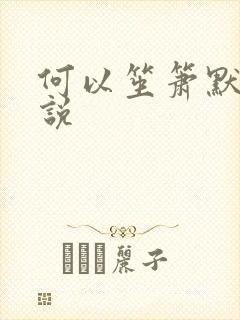 何以笙箫默 小说