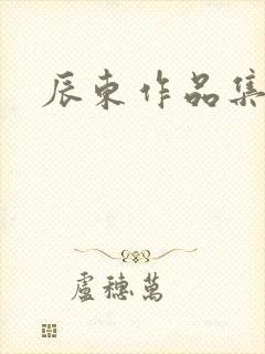 辰东作品集