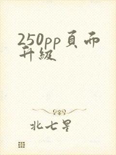250pp页面升级