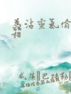 为沾灵气偷功德箱