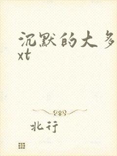 沉默的大多数txt