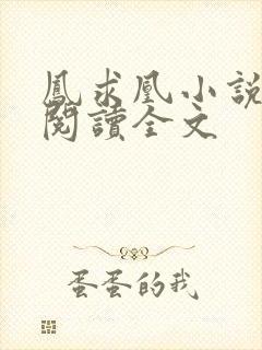 凤求凰小说免费阅读全文