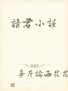 请君小说