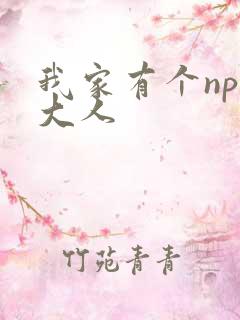 我家有个npc大人