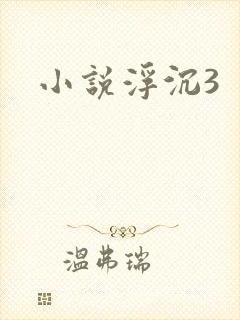 小说浮沉3
