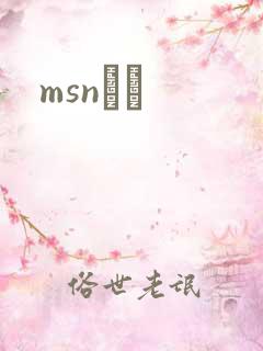 msnС˵