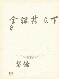 金银花《下厨房》