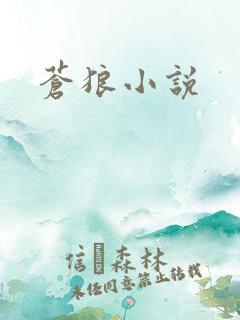 苍狼小说