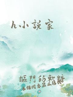 h小说家
