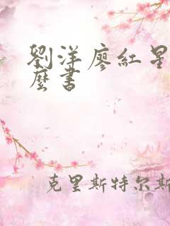 刘洋廖红星是什么书