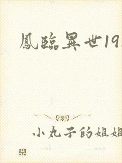 凤临异世19楼
