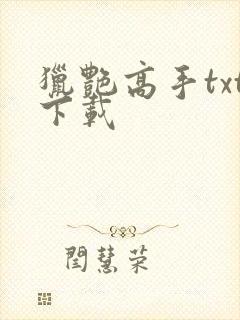 猎艳高手txt下载