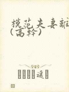 模范夫妻离婚了(高干)