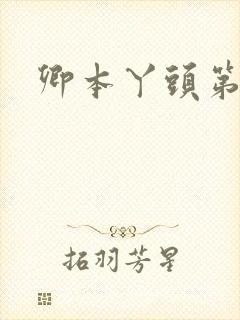 卿本丫头第二部