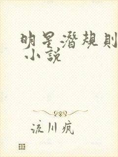 明星潜规则之皇 小说