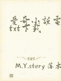爱奇小说电子书txt下载