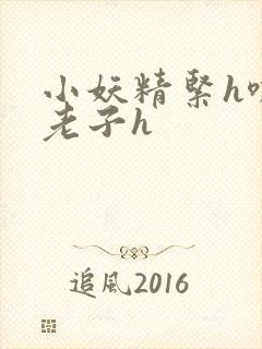 小妖精紧h嘶爽老子h