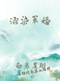 涩染军婚