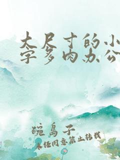 大尺寸的小黄说字多肉办公室