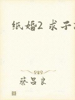 纸婚2 求子记