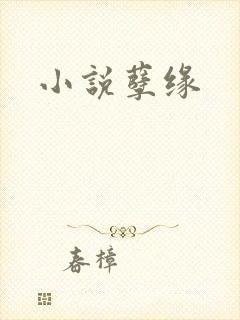 小说孽缘