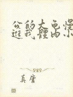 公的大龟慢慢挺进我体内小说