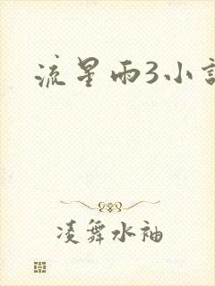 流星雨3小说