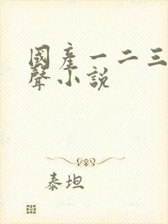 国产一二三区有声小说