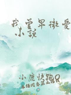 我曾卑微爱过你 小说