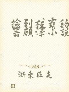 捡到校霸的遥控器顾泽小说免费阅读