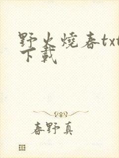 野火烧春txt下载
