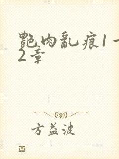 艳肉乱痕1一12章