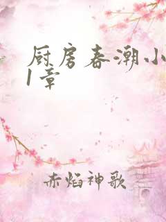 厨房春潮小说第1章