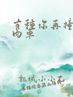 有种你再撞一下肉车