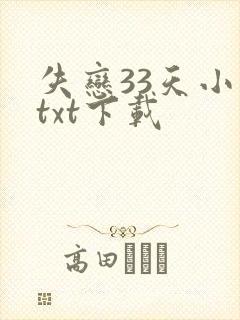 失恋33天小说txt下载