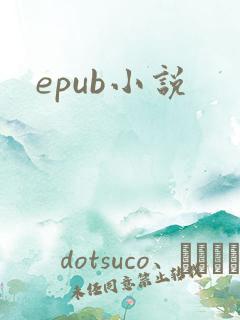 epub小说
