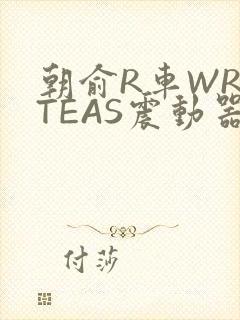 朝俞R车WRITEAS震动器