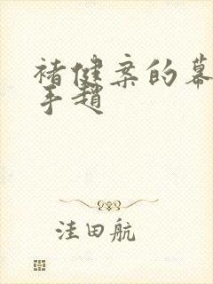 褚健案的幕后黑手赵