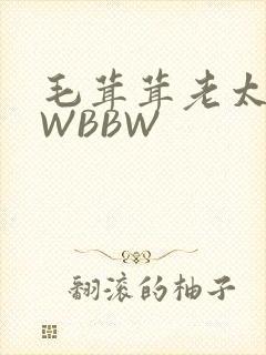 毛茸茸老太BBWBBW