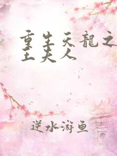 重生天龙之推倒王夫人