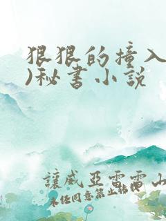 狠狠的撞入(h)秘书小说