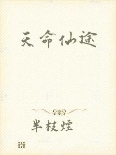 天命仙途